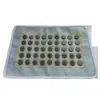 Almofadas de Pedra Jade Xiu para Travesseiros no Atacado, Capas de Travesseiro de Jade, Cortinas de Travesseiro de Pedra Jade Xiu para Refrescar no Verão, Adequado para Todas as Estações