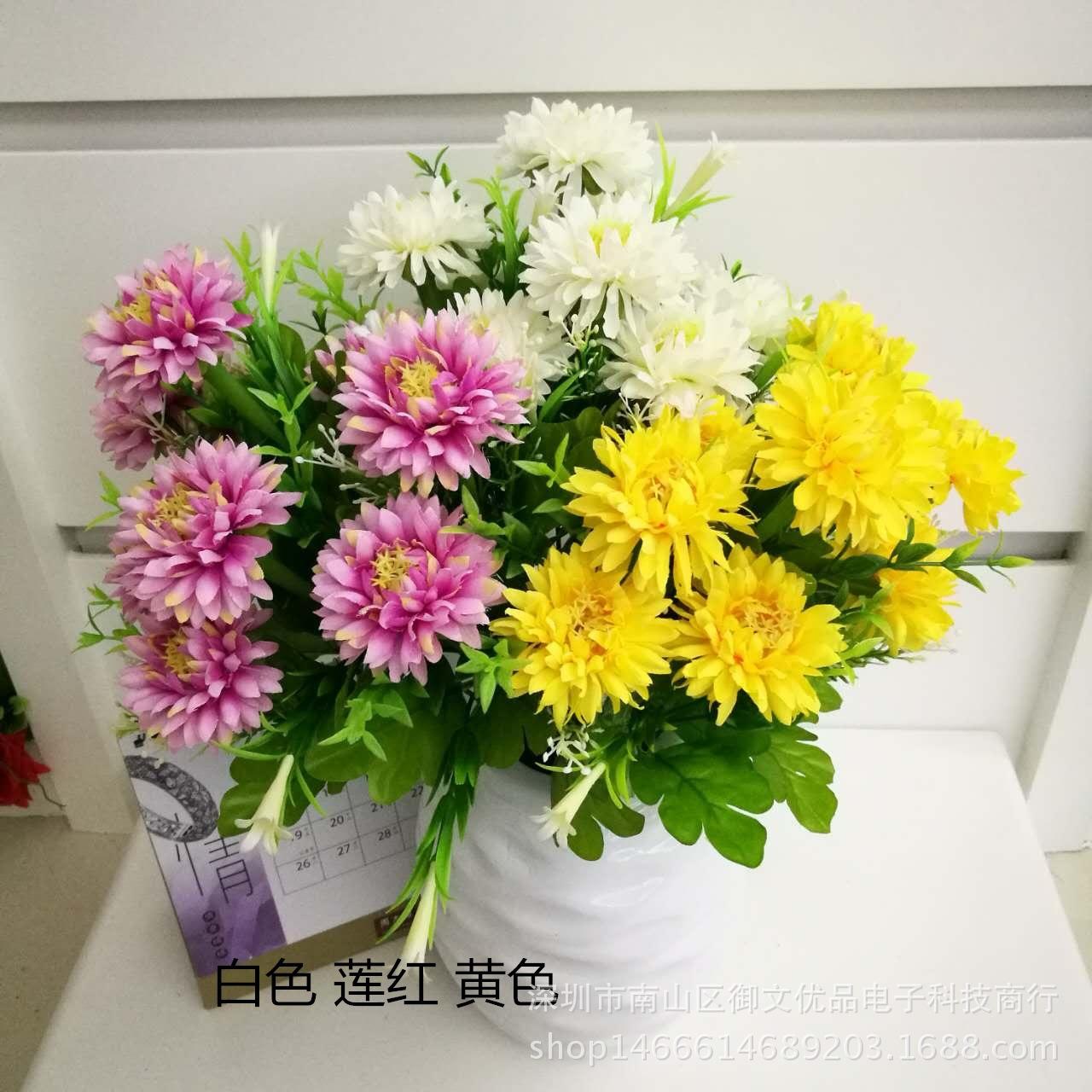 9头绿百合海葵 白色 莲红 黄色_副本