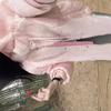 Nuevo abrigo acolchado de algodón con hebilla rosa de estilo chino para mujer, abrigo acolchado de algodón de invierno popular para mujer, abrigo acolchado de algodón grueso