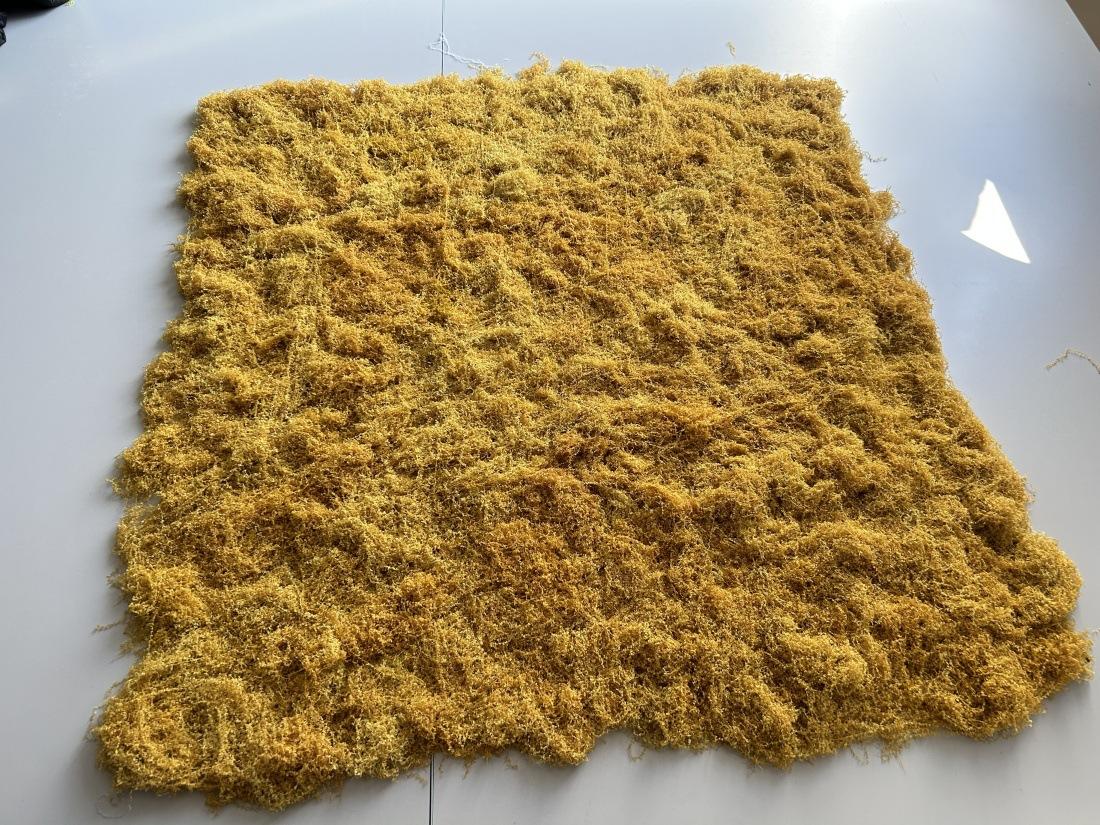 IMG_5936 - 开心看图王 - 开心看图王_副本