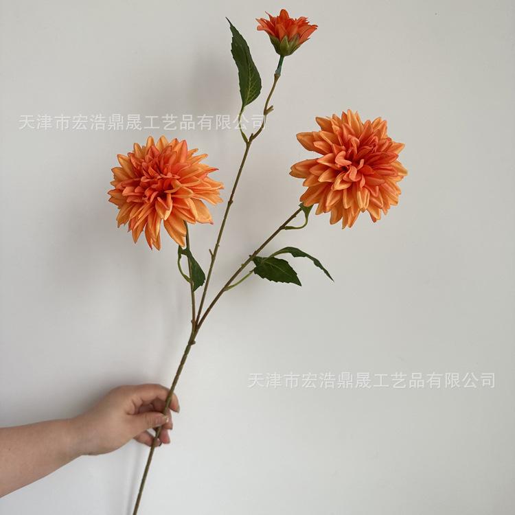 微信图片_202304201402138_副本