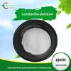 Lactobacillus Plantarum 10 Bilhões Pó de Bactérias Láticas Liofilizadas Matéria-Prima Probiótica Fornecimento Direto Guancheng em Estoque