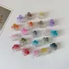 Presilha de Cabelo de Princesa Pequena Fofa para Mulheres, Presilha de Cabelo de Testa de Alta Qualidade, Presilha de Rabo de Cavalo na Parte de Trás da Cabeça, Acessórios de Cabelo para Volume de Cabelo Pequeno