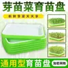 Maceta para Ajo de Balcón, Siembra de Hierba Gatuna de Ajo, Artefacto para Plantar Ajo, Maceta Hidropónica para Ajo, Bandeja para Plántulas de Ajo