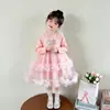 Nueva colección de otoño: Vestido de princesa Elsa para niñas, 2026 de manga larga, elegante y voluminoso de tul, perfecto como atuendo de cumpleaños