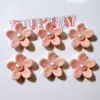 Accesorios de Plástico DIY Hebilla de Zapato con Agujero Accesorios para Tocados Infantiles Pegamento de Crema Cubierta de Paja Pegatinas Borde de Perla Flockada Flor