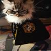 Capa para Mascota Ragdoll Harry Potter Capa Mágica Disfraz de Transformación Gato Perro Ropa para Perro Pequeño Capa
