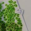 Ciruela Perlada, Narciso Pequeño, Flor de Ciruelo Pequeña, Flor de Cinco Estrellas, Flor de Cinco Pétalos, Flor Seca para Uñas, Estampado de Funda de Teléfono de Resina Transfronteriza