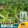Sementes de Repolho Broto de Bambu Doce Huazhou, Sementes de Repolho com Pontas Verdes, Sementes de Repolho de Folha Verde, Sementes de Horta e Fazenda