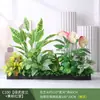 Paisagismo com Plantas Verdes Simulação Floreira Divisória de Piso Arte Floral de Chão Paisagem de Plantas Combinação de Floreira Flor Artificial em Vaso Bonsai Decoração