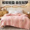 Colcha 100% Algodão Puro de Xinjiang, Núcleo de Colcha para Primavera e Outono, Colcha Individual para Dormitório Estudantil, Enchimento de Algodão, Colcha de Inverno, Adequada para Todas as Estações