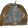Alga Marinha Seca 500g Estoque Novo Fatias Grossas de Alga Marinha de Rongcheng, Weihai, Shandong, Alga Marinha a Granel e Tiras de Alga Marinha Atacado