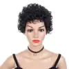 Peluca Afro Corta Rizada Africana Más Vendida Peluca Esponjosa de Pelo Corto para Mujer Fabricante Lista para Enviar Comercio Exterior Mayorista