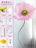 Manualidad de Papel Arrugado de Amapola Grande para Jardín de Infancia Flores Realistas Hechas a Mano Paquete de Materiales DIY Decoración de Escena de Creación de Entorno