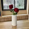 Jarrón de Plástico Escandinavo Arreglo Floral para el Hogar Jarrón de Flores Jarrón de Palo Retorcido Sala de Estar Moderno Creativo Simple Pequeño Fresco Hogar