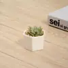 Creativo simple carnoso mini cerámica pequeña maceta maceta carne decoración de escritorio pequeña hexagonal maceta venta al por mayor