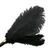 Missfun Sm Pluma Palo Juguete para Pareja Negro Accesorios Sexuales Juguetes Sexuales para Adultos Juguetes