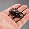 Modelo de insecto de simulación transfronterizo escarabajo sólido unicornio insecto hada animal pequeño modelo para niños juguetes al por mayor