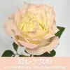 Tinta Spray para Flores, Corante Azul Gelo Triturado Ameixa, Flor de Sabão, Flor Seca, Spray de Arte Floral, Suprimentos para Floricultura Atacado