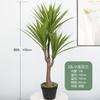 Simulación grande de planta verde árbol de hierro hotel aterrizaje adornos bonsái planta árbol de hierro sangre de dragón simulación árbol sangre de dragón