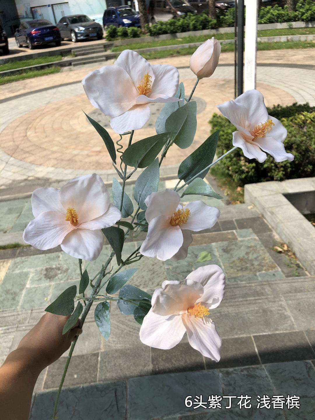 微信图片_20201019125621.jpg