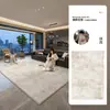 Alfombra extraíble y lavable para la sala de estar, con estilo minimalista italiano, diseño nuevo, impermeable, fácil de limpiar, se limpia con paño, de doble capa, desmontable y lavable a máquina