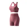 Moda Europeia e Americana Transfronteiriça Conjunto de Top Fitness Yoga Sem Costura e Shorts Esportivos Sexy Venda por Atacado
