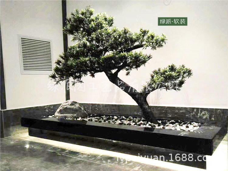 迎客松1323.jpg