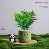 Árbol del Dinero Planta en Maceta Decoración Creativa de Planta para Escritorio Flor y Planta Verde para Oficina Adorno Hiedra Coco Rico Verde Bonsái Pequeño