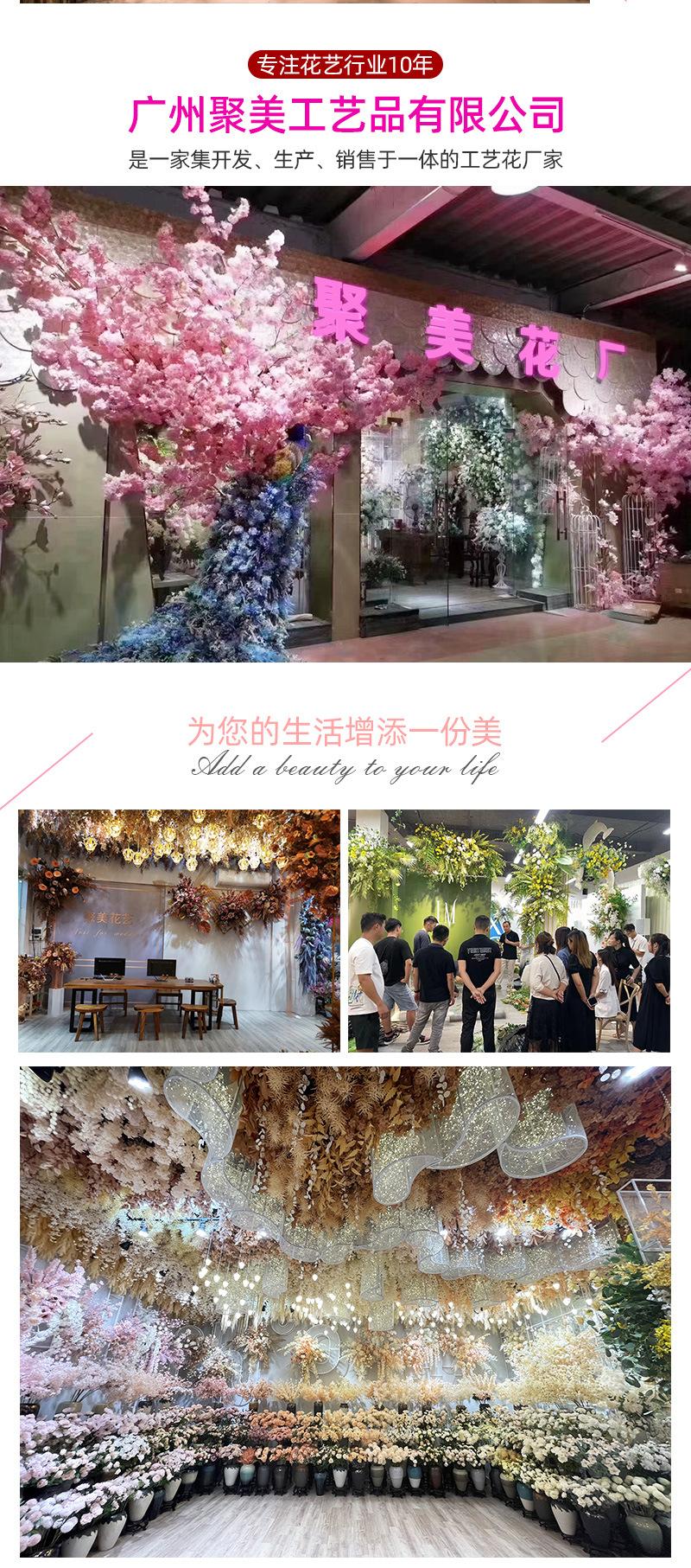 聚美-肯尼亚大飞燕草-详情_15.jpg