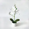 Orquídea Phalaenopsis de 3 Peças Transfronteiriça Planta em Vaso Internacional Mini Decoração de Mesa Bonsai Enfeite de Carro Adereço para Fotografia de Casamento