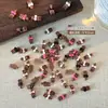Nuevos Accesorios para Uñas Maillard Kt Lazo para Uñas Accesorios de Uñas de Diamante Gato de Dibujos Animados Marrón Mixto Otoño e Invierno
