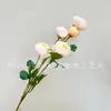 6 Cabezas de Rosas de Té, Exquisitas Rosas Pequeñas, Flores Artificiales, Decoración de Techo para Bodas, Flores Artificiales de Pie para Sala de Estar, Fabricantes Nórdicos al por Mayor