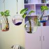 Pecera colgante creativa, jarrón hidropónico de vidrio transparente para colgar en la pared del dormitorio y la sala de estar, manualidades decorativas