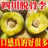 Ciruelas Rojas Crujientes Deshuesadas Auténticas de Sichuan, Ciruelas de Tierra Verde, Frutas Frescas, Ciruelas Yinghong de Temporada, Azúcar con Miel, Venta al por Mayor de Wenchuan