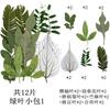 Pacote Combinado de 12 Folhas Verdes Pacote de Material de Folha Espécime de Folha Real Material de Planta com Flor Marcador de Página Folha DIY