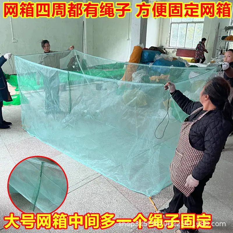 四周带绳5.jpg