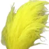 Hierba Barba de Dragón Flor Eterna Flor Seca Real Sueño de Yunnan Decoración Suave Materiales de Arte Fuegos Artificiales Hierba de Pelo Largo Decoración de Boda