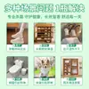 Spray Desodorante para Zapatos Duerdeao Zapatos Antisépticos Calcetines Tenis Desodorante para Zapateros Esterilizador Antiséptico Eliminador de Olores