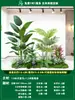 Paisagismo de Planta Artificial Varanda Arranjo de Paisagem Escada Interna Sob Árvore de Flores Artificiais Decoração Biomórfica Planta Verde Paisagismo Combinação