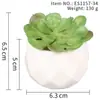 Suculenta Planta Taça de Diamante Bonsai Decoração Casa Escritório Es1178-4 Paisagem em Microfibra Aveludada Mini Alta Simulação