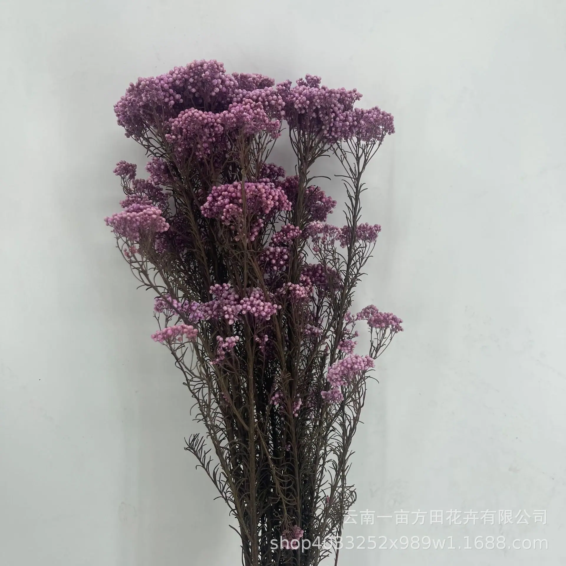 b7142e89d15d6661b0fac59919e969