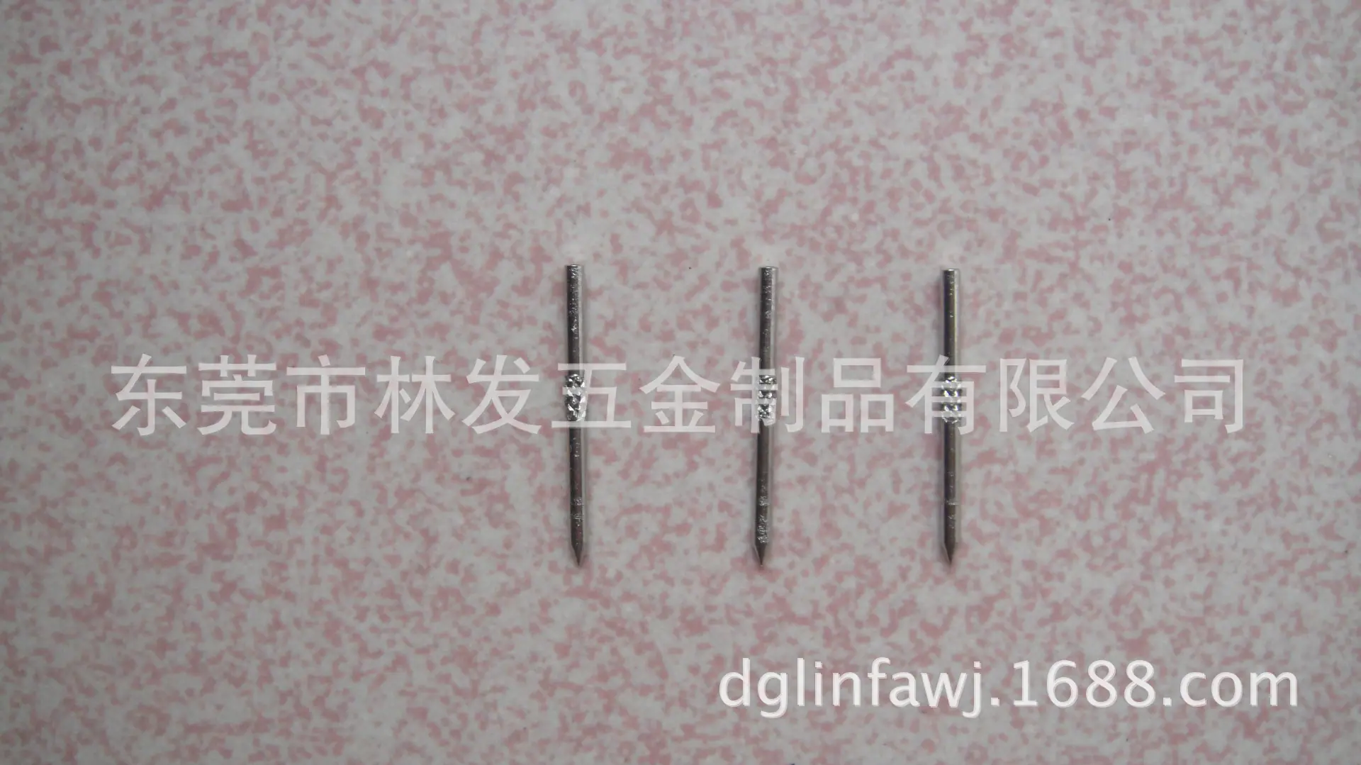 DSC02753