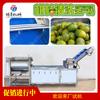 Máquina de limpieza por pulverización con rodillo de lana multifuncional para cítricos, directa de fábrica, línea de producción de limpieza de frutas de gran tamaño