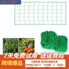 Red Gruesa para Trepar con Bordes Reforzados para Rosas, Campanillas, Pepinos, Plantas Frutales Trepadoras y Redes para Plantas de Jardinería