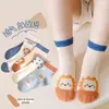 [Novo Produto] Meias de Verão Ultra Finas para Meninas com Renda, Malha Respirável, Cor Sólida Simples, Meias Esportivas de Cano Médio para Estudantes