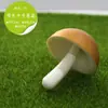Simulación modelo de verdura y fruta falso verduras verdes pimiento rojo espuma plástica maíz rábano calabaza adornos decorativos accesorios