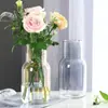 Vaso de vidro reto pequeno e fresco estilo nórdico ins com gradiente, arranjo de flores secas de bambu rico hidropônico, ornamentos para sala de estar