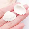 10g o Más Conchas Naturales Perforadas Colgantes de Caracola Paquete de Materiales para Pulsera Collar Pendiente Joyería Accesorios Venta al por Mayor