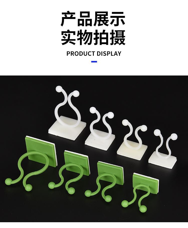 绿萝固定器_15